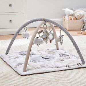 Skip Hop x PBK Animal Friends Classic Activity Gym